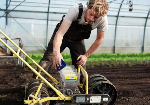 Essential Tools and Equipment for Successful Grape Farming