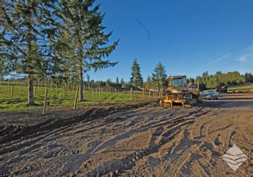 Optimize Your Vineyard with Expert Lot Clearing