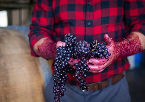 Exploring Traditional Wine-Making Techniques from Grapes